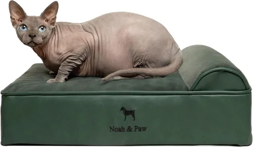 Vista 33 de NOAH & PAW Cama pequeña para perros, 20 x 15 x 6.5 pulgadas, cama para gatos de interior, espuma viscoelástica ortopédica de cáscara de huevo Verde