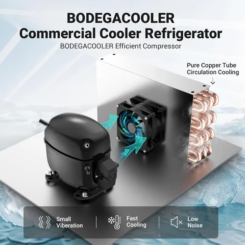 Vista 9 de BODEGA BODEGACOOLER Refrigerador comercial de bebidas de 15.5 pies cúbicos, enfriador de pantalla vertical con puerta de vidrio, refrigerador