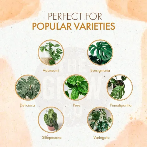 Vista 2 de Monstera Plant Food - Fertilizante líquido orgánico para plantas Monstera de interior y exterior, nutrientes para hojas tropicales saludables