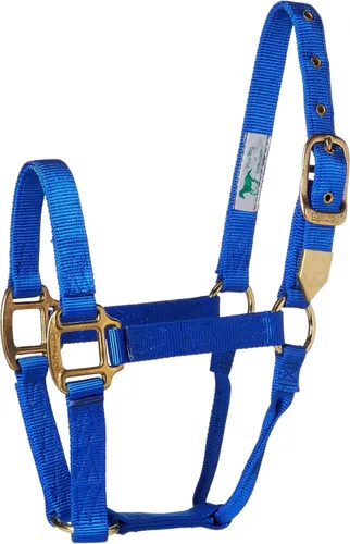Vista 17 de Hamilton Caballo de nailon de 1 pulgada, tamaño pequeño (500-800 libras), azul baya