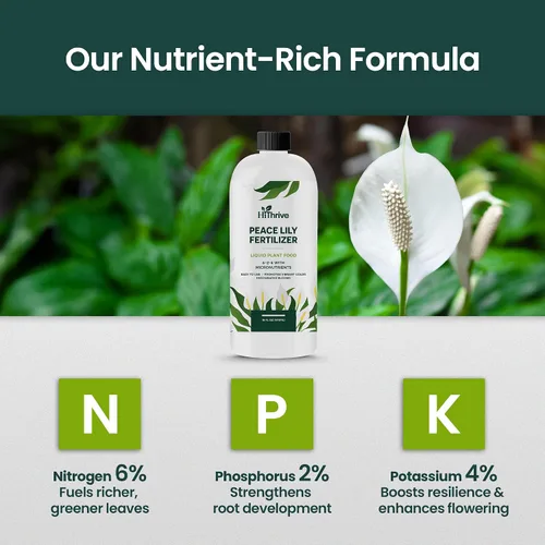 Vista 4 de Fertilizante líquido para plantas de lirio de la paz de 16oz - Produce 96 galones de fertilizante para lirio de la paz - Alimento líquido rico