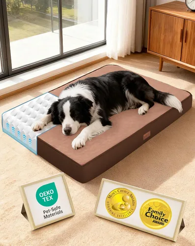 Vista 26 de OhGeni Cama ortopédica para perros pequeños, espuma viscoelástica 01-gris