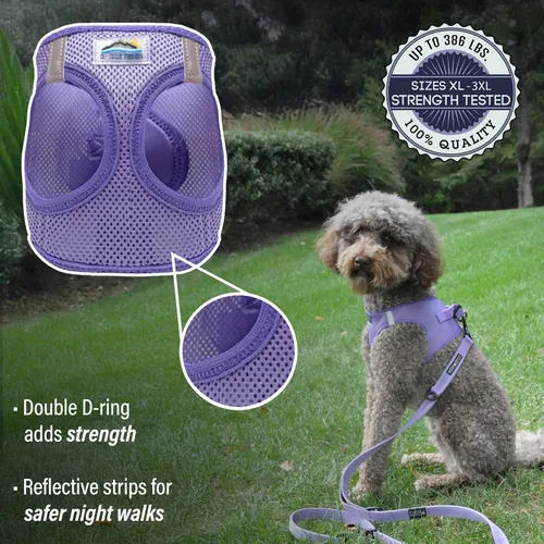 Vista 3 de Doggie Design Arnés para perro – Arnés sin estrangulamiento para mascotas, chaleco para perro, malla de poliéster, diseño simple, chaleco