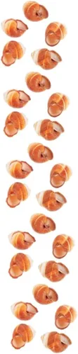 Vista 13 de Zerodeko Conchas de caracol para hornear Escargot, 5 unidades de conchas de cocina naturales gruesas
