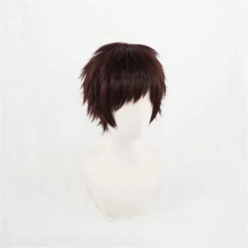 Vista 5 de COSPLAZA Cabello sintético marrón corto en capas para hombre revisión héroe animación personaje Halloween fiesta Cosplay pelucas