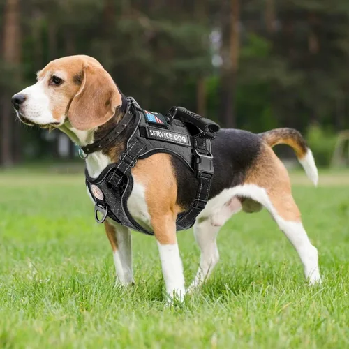 Vista 2 de Arnés para perro de servicio Cymiler, juego de arnés y correa sin tirones, arnés ajustable de Oxford reflectante para perro de servicio con asa