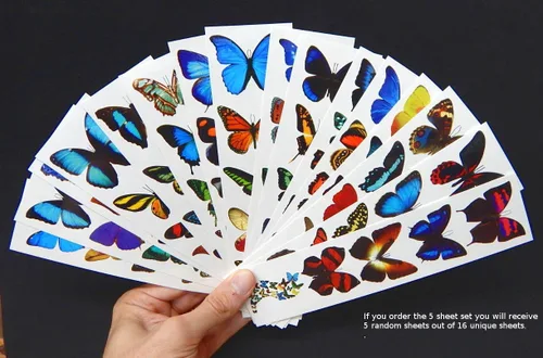 Vista 3 de Tatuajes de mariposa temporales coloridos - 5 hojas - por Butterfly Utopia