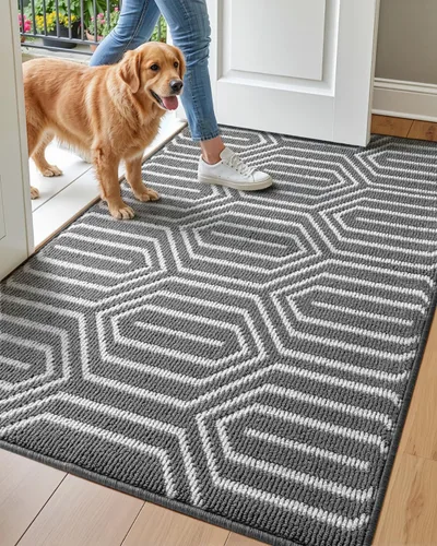 Vista 15 de DEXI - Alfombras para puerta de entrada, antideslizante, lavable, absorbente, resistente a la suciedad en el interior, alfombra de entrada de perfil