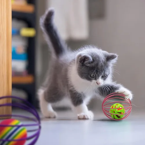 Vista 5 de Andiker Pelota de juguete para gatos, 6 piezas de juguete interactivo para gatos, ratón enjaulado y pelota para que los gatos persigan y agarren