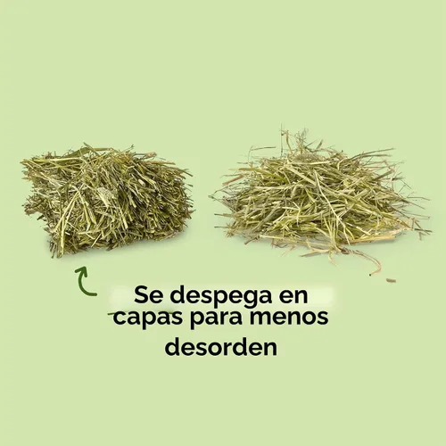 Vista 5 de Kaytee Heno Timothy cortado con obleas para conejillos y cobayas, 180 onzas