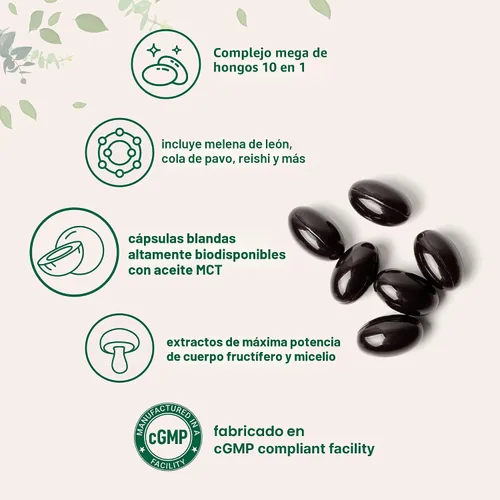Vista 3 de Suplemento de mega hongos 240 cápsulas blandas con aceite MCT para una mejor absorción Complejo definitivo 10 en 1 con chaga, melena de león