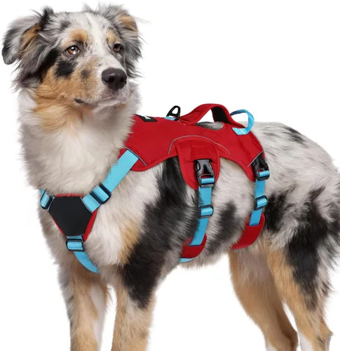 Vista 18 de rabbitgoo - Arnés para perros a prueba de fugas, arnés para mascotas acolchado y suave de cuerpo completo, arnés reflectante ajustable sin tirones
