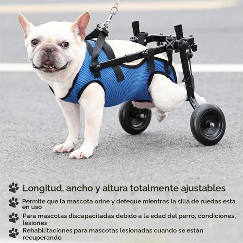 Vista 7 de Silla de ruedas ajustable para perros pequeños - Ayuda de movilidad para mascotas discapacitadas, Silla de ruedas para perros pequeños para patas
