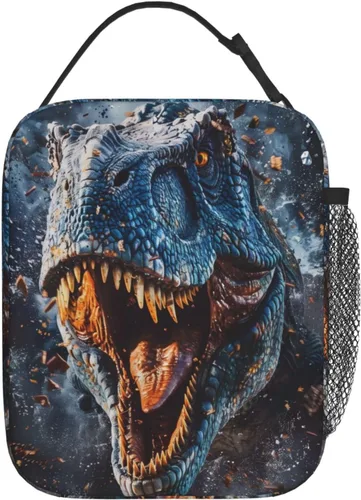 Vista 5 de Lonchera aislada para niños y niñas, lonchera de dinosaurio para el trabajo, picnic, escuela, viajes, senderismo, playa o pesca, bolsa de almuerzo