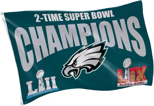 Vista 17 de Bandera de casa al aire libre duradera de 3 x 5 pies de los Arizona Cardinals de la NFL con ojales Bandera y cartel del equipo deportivo Bandera