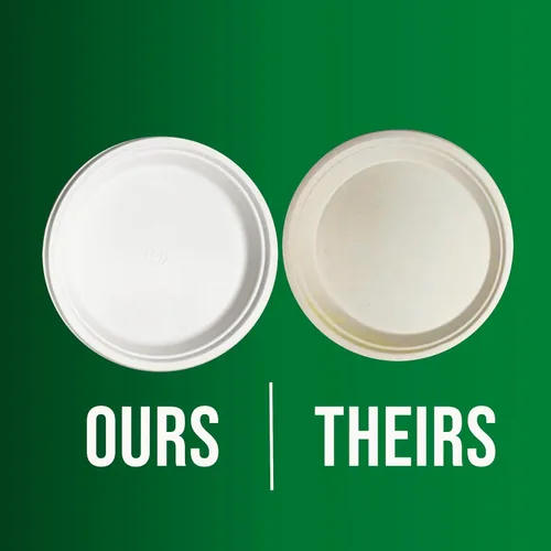 Vista 8 de Platos de papel, 100 % compostables, 10 pulgadas por 0.5 pulgadas de profundidad, plato desechable resistente, certificado (BPI), sin (PFAS)