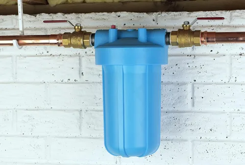 Vista 2 de Pentair OMNIFilter BF7 - Sistema de filtración de agua para toda la casa, 10 pulgadas, azul grande, 1 pulgada NPT con alivio de presión, reduce