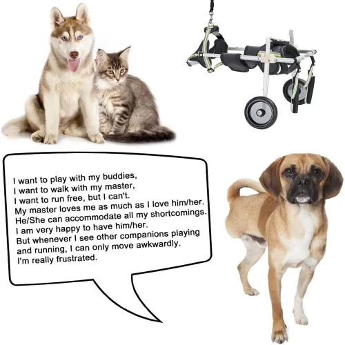 Vista 4 de Wheels Silla de ruedas para perro, silla de ruedas para patas traseras, carrito ajustable para perro, sillas de ruedas para mascotas/perros