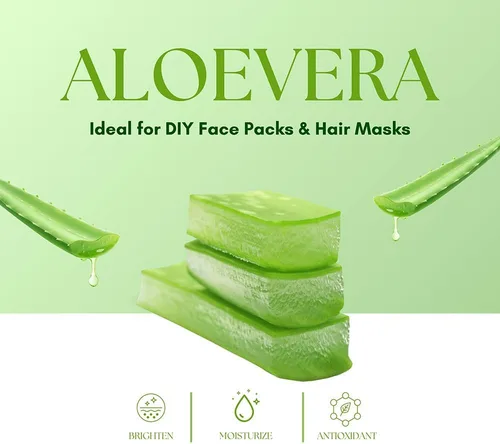 Vista 9 de Aloe Vera en polvo orgánico – 227 g (8 oz) Aloe Vera en polvo para cabello y cara Aloe Barbadensis AloeVera, cuidado natural del cabello