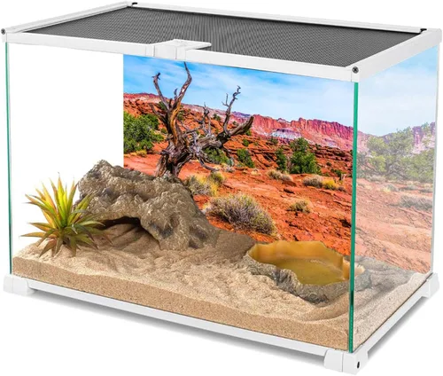 Vista 3 de AWERT 24x12 pulgadas Reptil Hábitat Fondo Cielo Azul Oasis Naranja Desierto Terrario Fondo