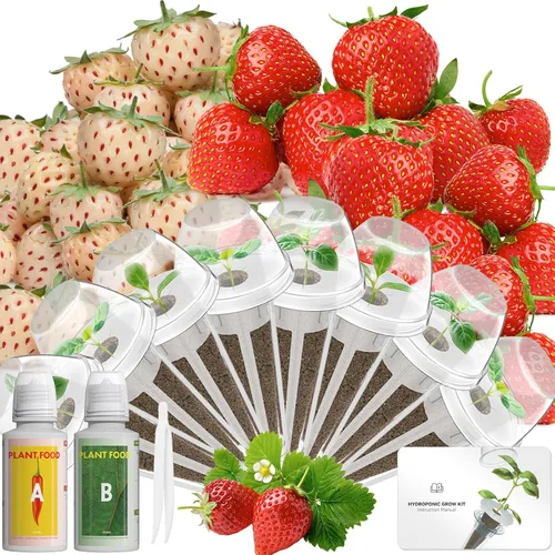 Vista 14 de Hydroponics - Vaina de semillas con albahaca genovesa y albahaca morada, kit completo de 8 cápsulas con esponja, canasta, cúpula, etiqueta