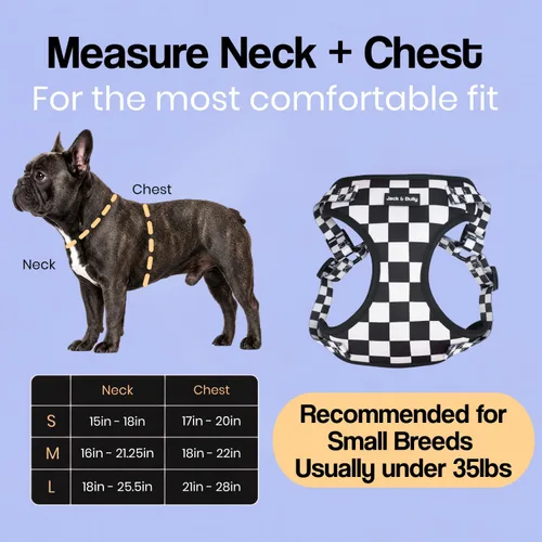 Vista 3 de Jack & Bully Arnés para perro, chaleco sin tirones, de neopreno ajustable, suave con malla transpirable, para todo tipo de clima, bulldog francés