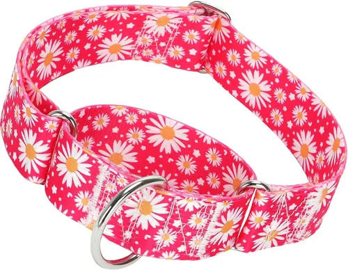 Vista 11 de Collar Martingale para Perro de 1.5 Pulgadas de Ancho - Diseño de Calavera Extra Resistente para Perros Grandes, Collar de Entrenamiento Ajustable