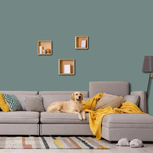 Vista 2 de Prestige Paints - Pintura exterior e imprimación en uno, 1 galón, plano, compatibilidad comparable con el color menta «Whipped Mint» de Behr