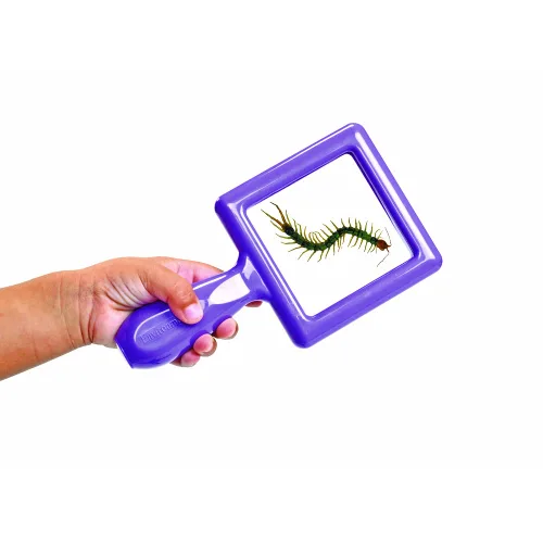 Vista 6 de Environments Juego de 4 visores de especímenes para niños pequeños (artículo # ESPECITOD)