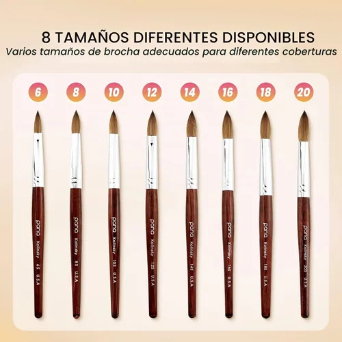 Vista 8 de PANA Pure Kolinsky - Cepillo de uñas acrílicas para el cabello, forma ovalada prensada con mango de madera de caoba (talla 8)