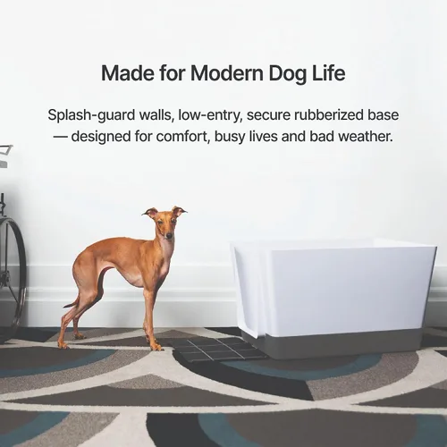 Vista 7 de Doggy Bathroom Orinal para perros de interior con paredes altas para perros pequeños (regular, gris oscuro)