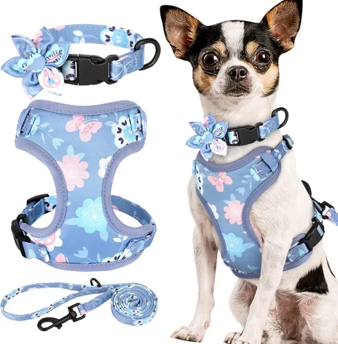 Vista 7 de Beirui Lindo juego de collares, arneses y correas para perro hembra, juego de collar y correa ajustable con flor - Arnés de malla suave para Azul