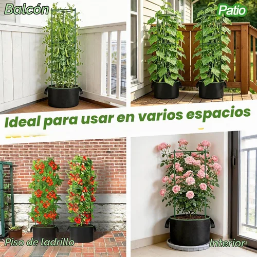Vista 6 de ANPHSIN Jaula de tomate triangular resistente con bolsas de cultivo