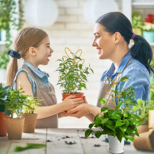 Vista 4 de 8 paquetes de enrejado de alambre de metal dorado para plantas en maceta, plantas trepadoras, amantes de las plantas de interior, Hoya, Pothos