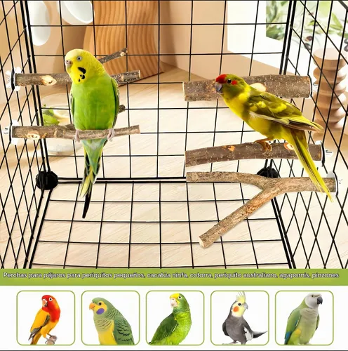 Vista 7 de 5 piezas de percha de madera natural para pájaros - Juego de perchas de rama recta y bifurcada, accesorios para jaula de pájaros para aves pequeñas
