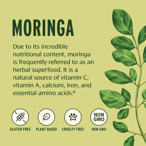 Vista 3 de Banyan Botanicals Moringa en polvo orgánico – Moringa Oleifera – Superalimento en polvo y fuente natural de vitaminas y minerales* – 1/2 lb – Vegano