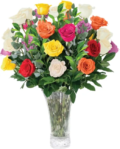 Vista 8 de Aquarossa Farms - Ramo de 12 Rosas Surtidas, Regalos para el Día de la Madre, Ramo de Flores Frescas, Flores para Entrega, Idea de Regalo para Ella