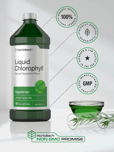 Vista 6 de Horbäach Clorofila líquida 100 mg 32 onzas líquidas (2 botellas de 16 onzas líquidas) Gotas naturales con sabor a menta Fórmula