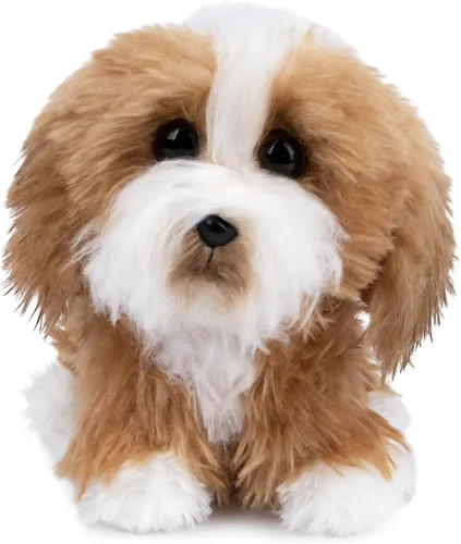Vista 10 de GUND Boo, El Perro Más Lindo del Mundo, Colección Boo & Friends Cachorrito de Maltipoo, Peluche para Edades de 1 Año en Adelante, 5 Pulgadas