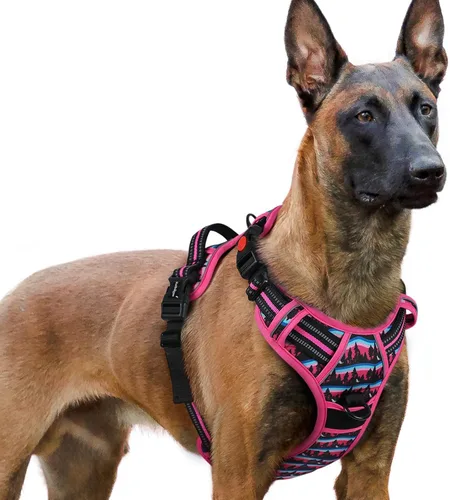 Vista 48 de Rabbitgoo - Arnés para perro de tamaño pequeño, arnés para mascotas sin tirones con 3 hebillas, chaleco acolchado suave ajustable con mango