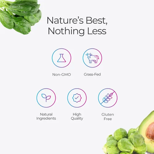 Vista 6 de Livingood Daily - Polvo de colágeno para mujeres y hombres, péptidos de colágeno hidrolizado alimentado con pasto, proteína y multivitaminas