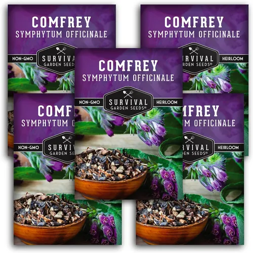 Vista 12 de Semillas de consuelda - Symphytum Officinale - Hierba medicinal perenne (paquete de 1) True Slippery Root for Compost Tea & Natural Skincare