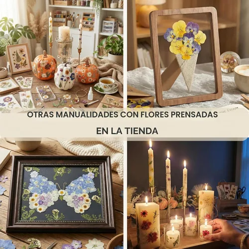 Vista 8 de LUXEEASE 120P Amarillo Naranja Rojo Flores Secas Prensadas Amarillo y naranja 120 piezas