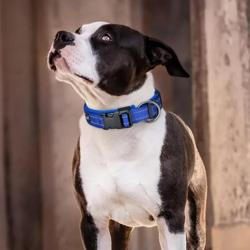 Vista 6 de EXCELLENT ELITE SPANKER Collar reflectante para perro, clásico, suave, acolchado, de nailon transpirable, ajustable, con hebilla de liberación