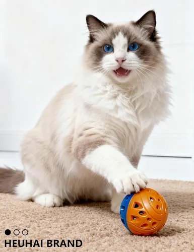 Vista 6 de Paquete de 10 bolas de plástico interactivo para gatos para gatitos