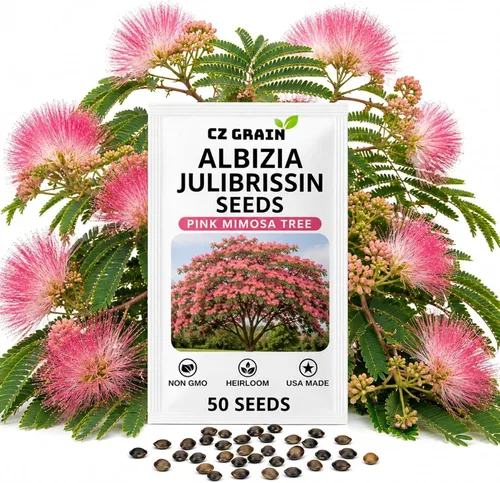 Vista 19 de CZ GRAIN Semillas de árboles exóticos para plantar (Baobab - 5 semillas)
