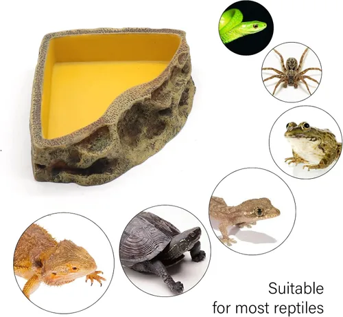 Vista 4 de Comedero de reptiles Tazón de resina para anfibios para lagarto Gecko tortuga dragón barbudo