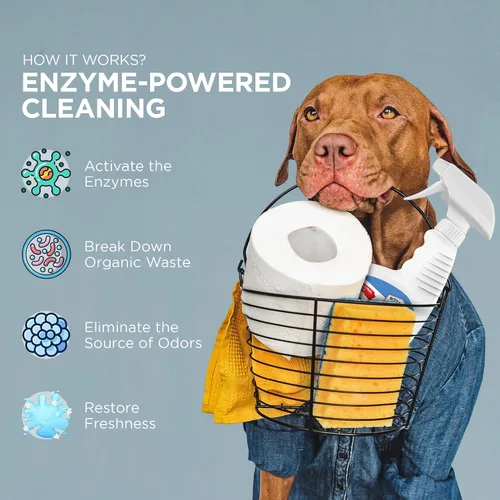 Vista 6 de Stuart Pet Supply Co. Eliminador de olores de mascotas de fuerza profesional Removedor de olores de orina Limpiador enzimático de orina