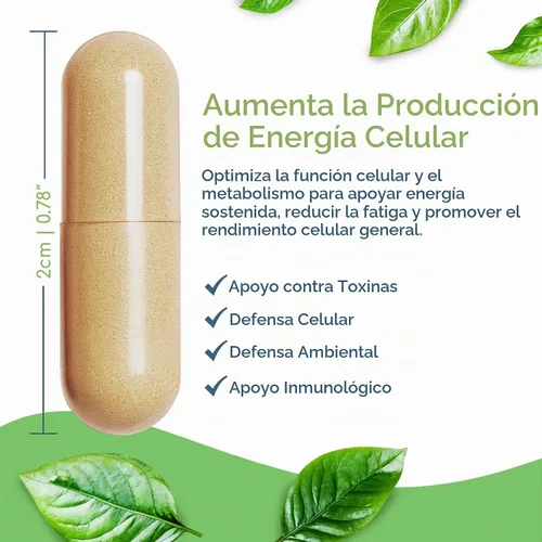 Vista 4 de Előző Nutrientes celulares saludables, multivitamínico metilado