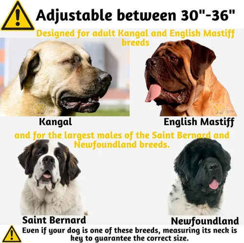 Vista 2 de ADITYNA - Collar de perro resistente con asa, XXL, cuello ajustable de 30 a 36 pulgadas Diseñado exclusivamente para razas de perros enormes como